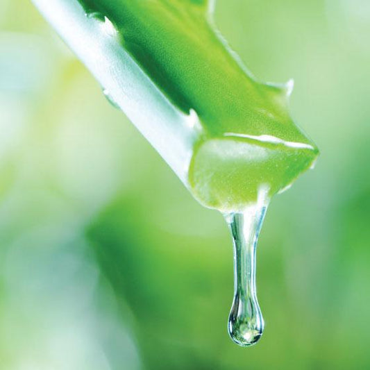 Alcohol Aloe Vera Hand Sanitiser - Value Pack