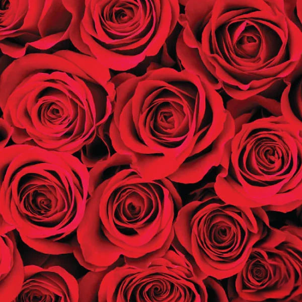 Silk Oil of Morocco x Your Beauty Dupe - Rosé Luxe Hamper