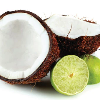 Silk Oil of Morocco - Coconut & Wild Lime Wax Melt
