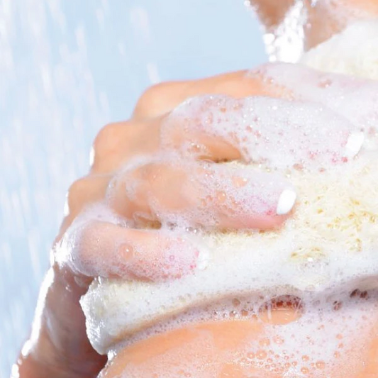 Exotic Essence Argan Oil Body Wash Collection