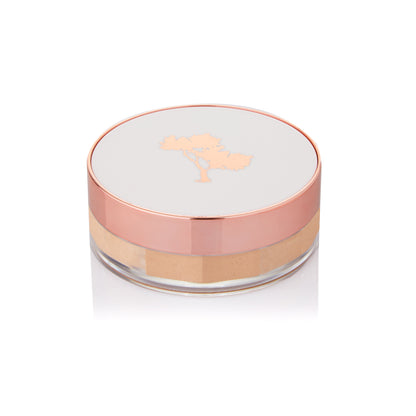Argan Mineral Bronze & Shimmer Starter Pack complete with RETAIL STAND