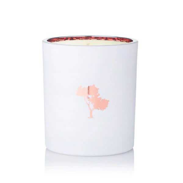 Silk Oil of Morocco - Bubble Yum Luxe Natural Soy Candle