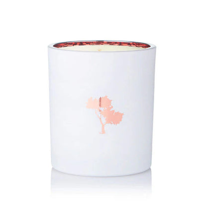 Silk Oil of Morocco - Bubble Yum Luxe Natural Soy Candle