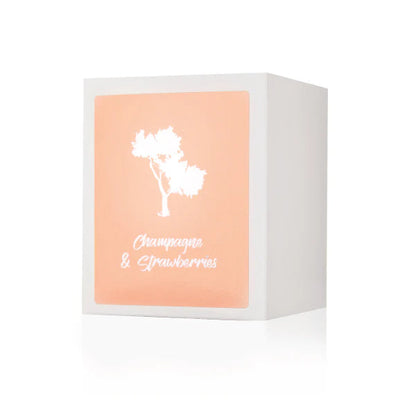 Silk Oil of Morocco - Champagne & Strawberries Luxe Natural Soy Candle