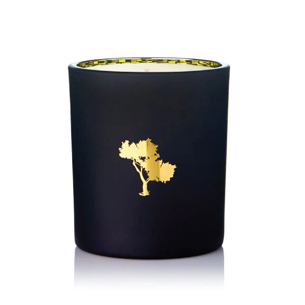 Silk Oil of Morocco - Lady Luxe Natural Soy Candle