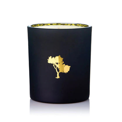 Silk Oil of Morocco - Lady Luxe Natural Soy Candle