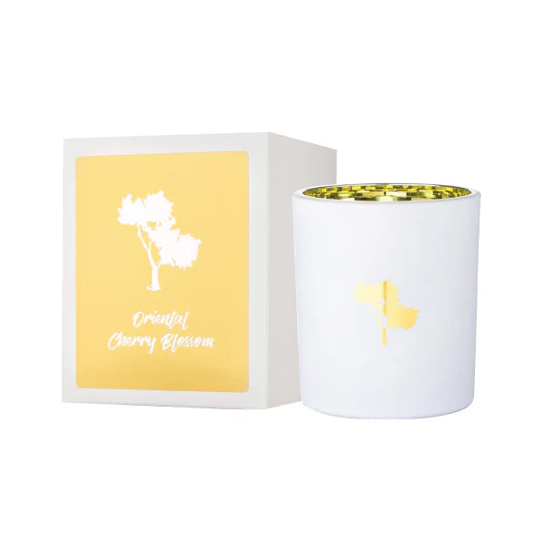 Silk Oil of Morocco - Oriental Cherry Blossom Luxe Natural Soy Candle