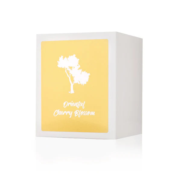 Silk Oil of Morocco - Oriental Cherry Blossom Luxe Natural Soy Candle