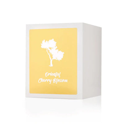 Silk Oil of Morocco - Oriental Cherry Blossom Luxe Natural Soy Candle