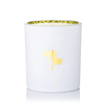 Silk Oil of Morocco - Oriental Cherry Blossom Luxe Natural Soy Candle