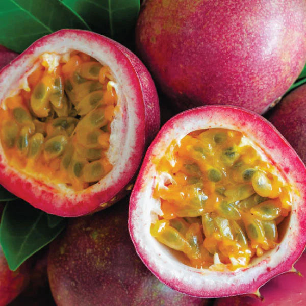 Silk Oil of Morocco - Passionfruit & Lychee Amber Natural Soy Candle