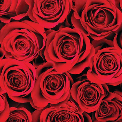 Moroccan Rose Argan Soap Bar