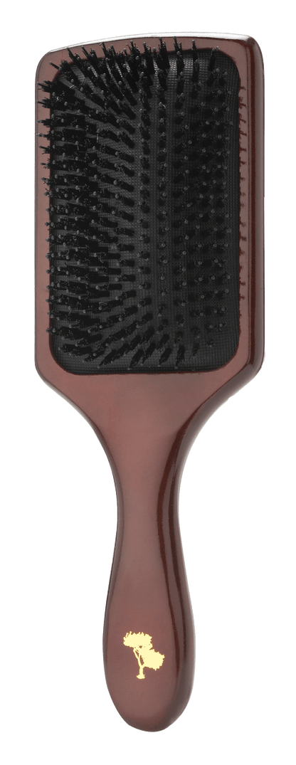 Professional Stylish Brushes, Combs and Hair Towels - Starter Pack