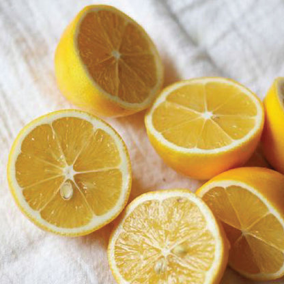 Sweet Lemongrass Argan Bath Bomb