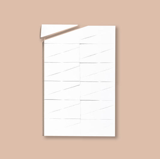 Disposable White Sponge (PK 24)