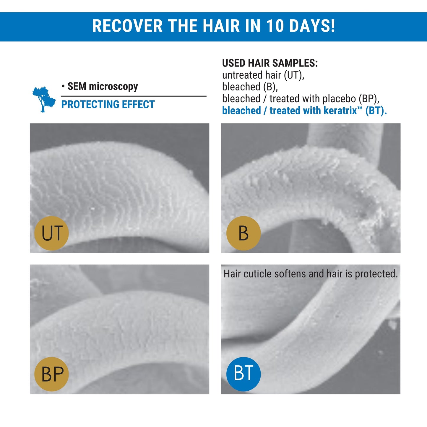 Argan REP-Hair Protein Masque