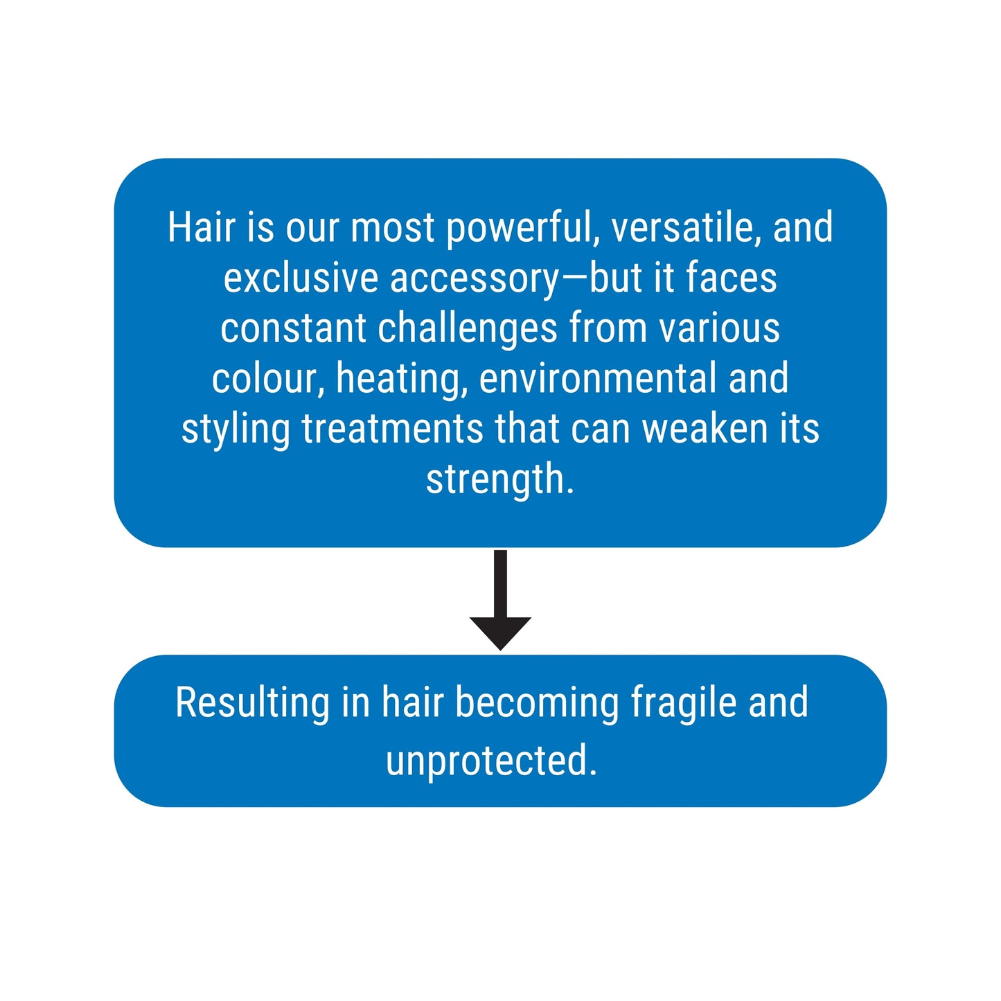 Argan Hair REP-Hair Protein - Value Pack