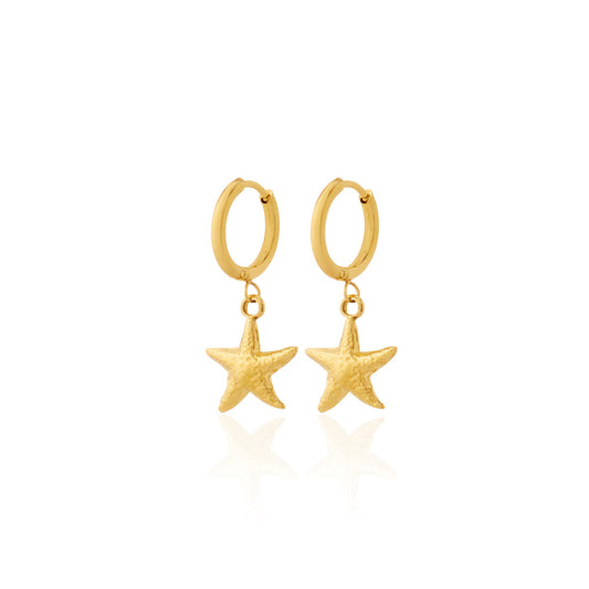 Star Earrings