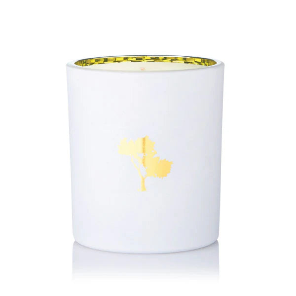 Summer Fruit Salad Luxe Natural Soy Candle