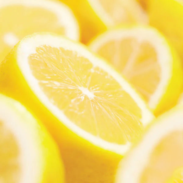 Silk Oil of Morocco - Sweet Lemongrass Amber Natural Soy Candle