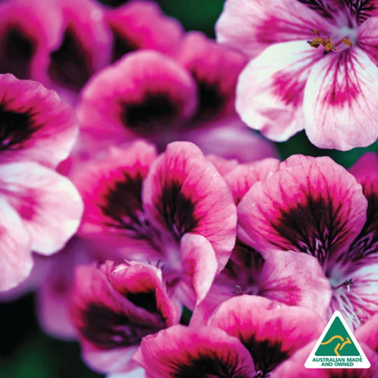 Patchouli, Geranium & Ylang Ylang Argan Body Wash